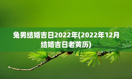 兔男结婚吉日2022年(2022年12月结婚吉日老黄历)