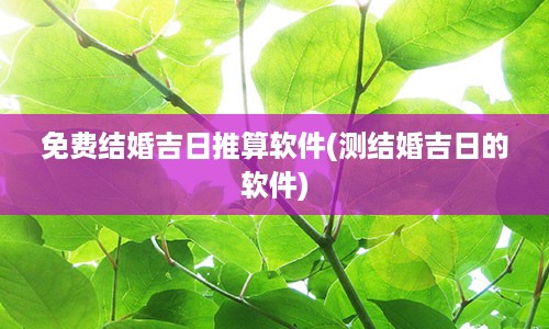 免费结婚吉日推算软件(测结婚吉日的软件)