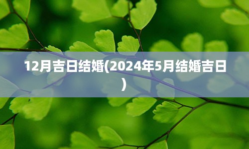 12月吉日结婚(2024年5月结婚吉日)