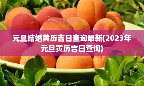 元旦结婚黄历吉日查询最新(2023年元旦黄历吉日查询)