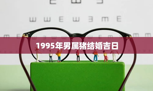 1995年男属猪结婚吉日