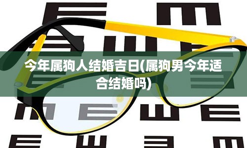 今年属狗人结婚吉日(属狗男今年适合结婚吗)