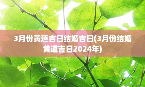 3月份黄道吉日结婚吉日(3月份结婚黄道吉日2024年)