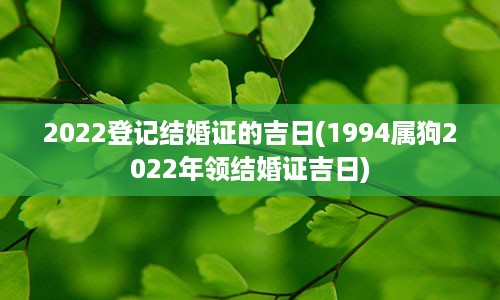 2022登记结婚证的吉日(1994属狗2022年领结婚证吉日)