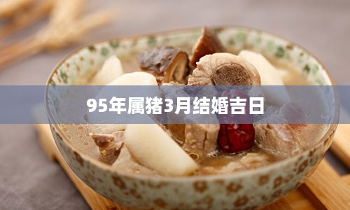 95年属猪3月结婚吉日