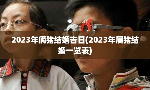 2023年俩猪结婚吉日(2023年属猪结婚一览表)