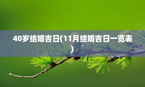 40岁结婚吉日(11月结婚吉日一览表)