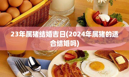 23年属猪结婚吉日(2024年属猪的适合结婚吗)