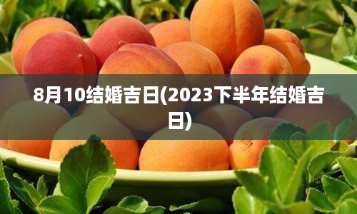 8月10结婚吉日(2023下半年结婚吉日)