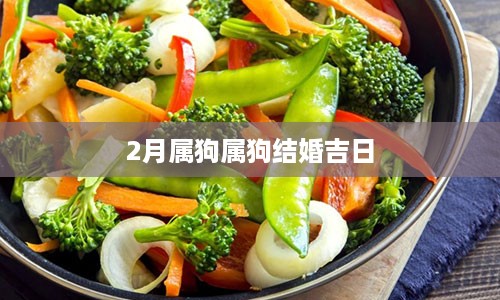 2月属狗属狗结婚吉日