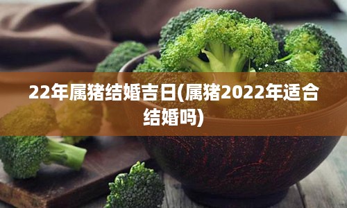 22年属猪结婚吉日(属猪2022年适合结婚吗)