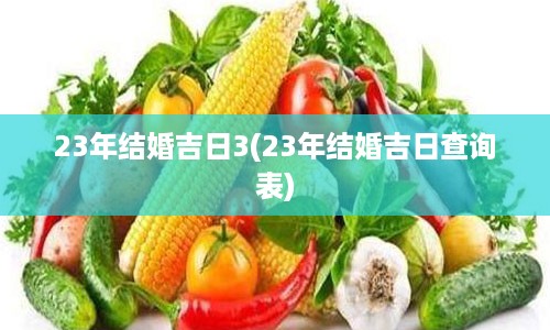 23年结婚吉日3(23年结婚吉日查询表)