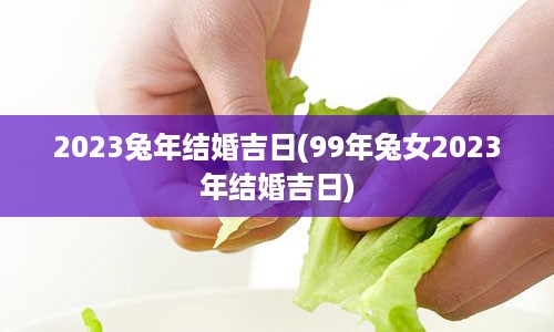 2023兔年结婚吉日(99年兔女2023年结婚吉日)