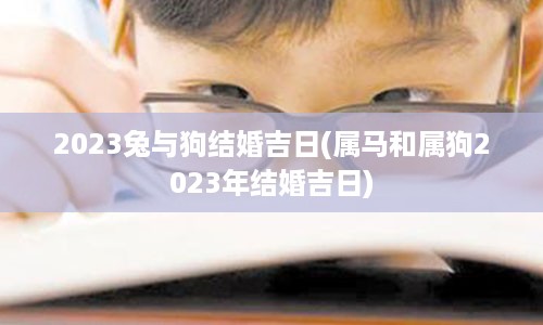 2023兔与狗结婚吉日(属马和属狗2023年结婚吉日)