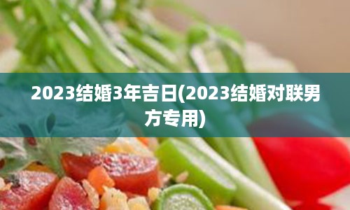 2023结婚3年吉日(2023结婚对联男方专用)