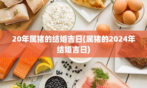 20年属猪的结婚吉日(属猪的2024年结婚吉日)