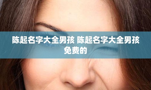 陈起名字大全男孩 陈起名字大全男孩免费的