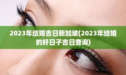 2023年结婚吉日新加坡(2023年结婚的好日子吉日查询)