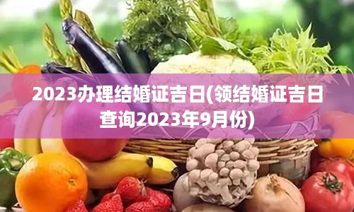 2023办理结婚证吉日(领结婚证吉日查询2023年9月份)