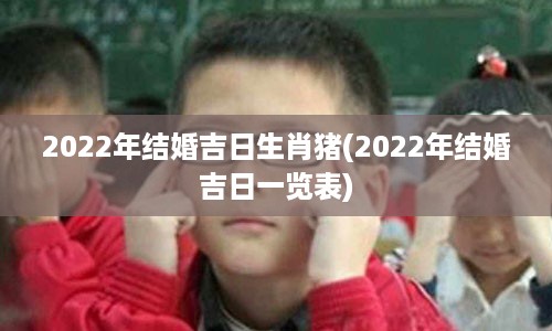 2022年结婚吉日生肖猪(2022年结婚吉日一览表)