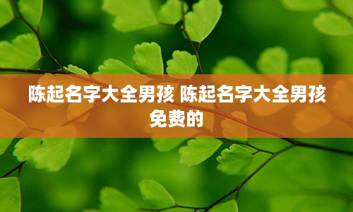陈起名字大全男孩 陈起名字大全男孩免费的