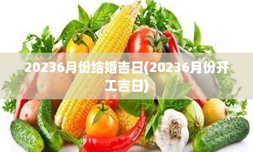 20236月份结婚吉日(20236月份开工吉日)