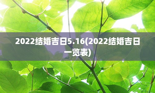 2022结婚吉日5.16(2022结婚吉日一览表)