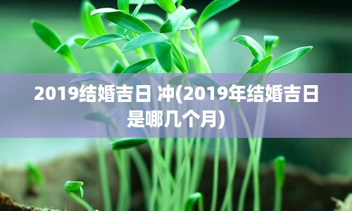 2019结婚吉日 冲(2019年结婚吉日是哪几个月)