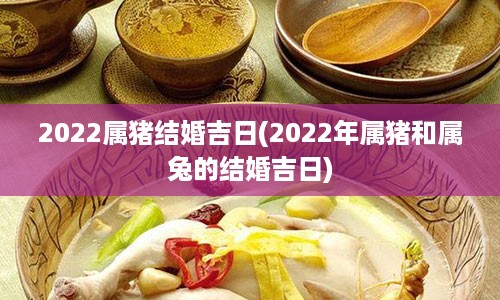 2022属猪结婚吉日(2022年属猪和属兔的结婚吉日)