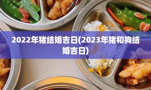 2022年猪结婚吉日(2023年猪和狗结婚吉日)