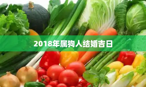 2018年属狗人结婚吉日