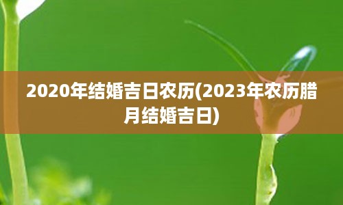 2020年结婚吉日农历(2023年农历腊月结婚吉日)