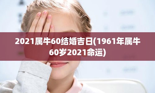 2021属牛60结婚吉日(1961年属牛60岁2021命运)