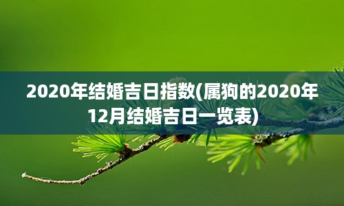 2020年结婚吉日指数(属狗的2020年12月结婚吉日一览表)