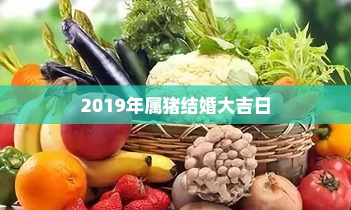 2019年属猪结婚大吉日