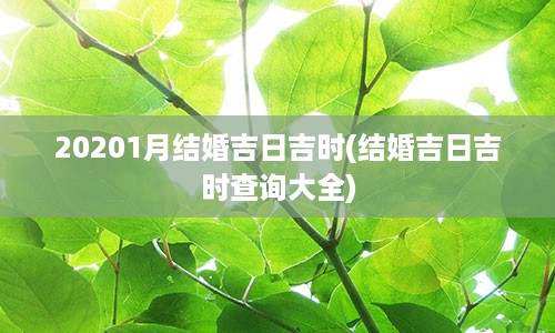 20201月结婚吉日吉时(结婚吉日吉时查询大全)