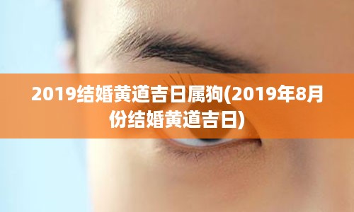 2019结婚黄道吉日属狗(2019年8月份结婚黄道吉日)