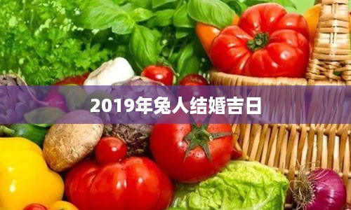 2019年兔人结婚吉日