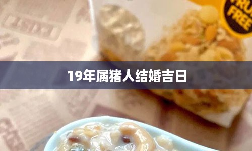 19年属猪人结婚吉日