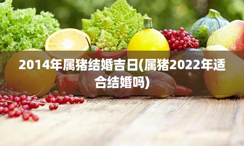 2014年属猪结婚吉日(属猪2022年适合结婚吗)