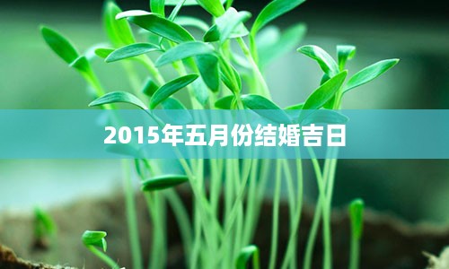 2015年五月份结婚吉日