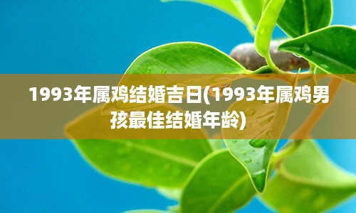 1993年属鸡结婚吉日(1993年属鸡男孩最佳结婚年龄)