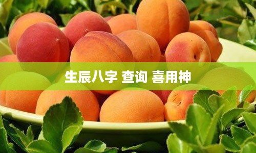 生辰八字 查询 喜用神