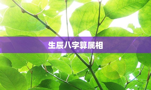 生辰八字算属相