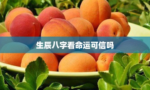 生辰八字看命运可信吗