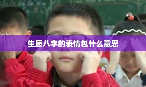 生辰八字的表情包什么意思