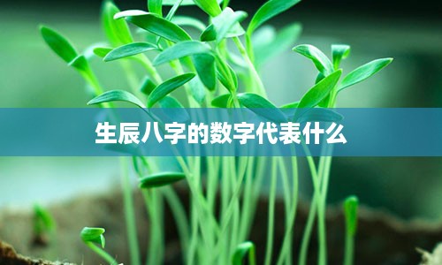 生辰八字的数字代表什么