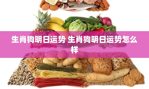 生肖狗明日运势 生肖狗明日运势怎么样