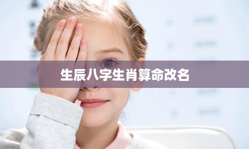 生辰八字生肖算命改名