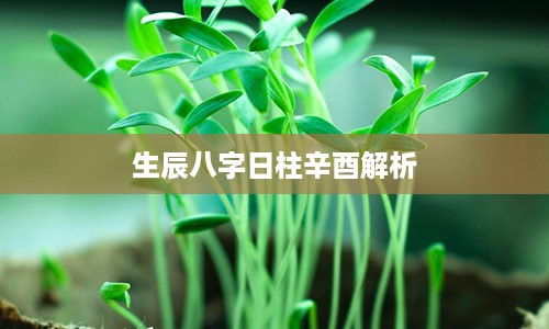 生辰八字日柱辛酉解析